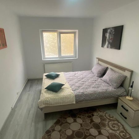 Apartment Dabic Remote And Fun Braşov Esterno foto