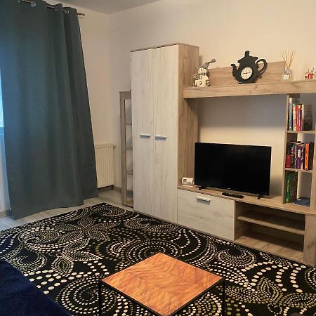 Apartment Dabic Remote And Fun Braşov Esterno foto