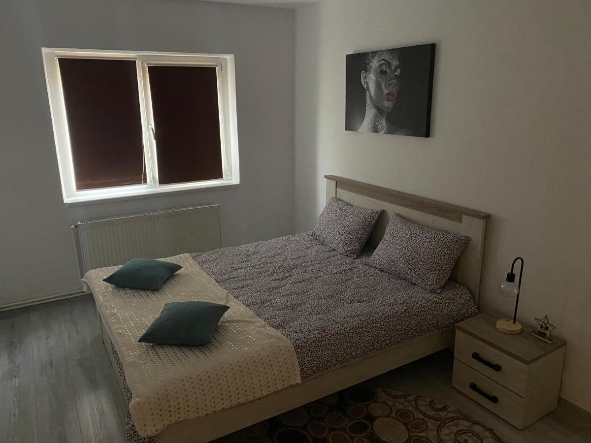 Apartment Dabic Remote And Fun Braşov Esterno foto