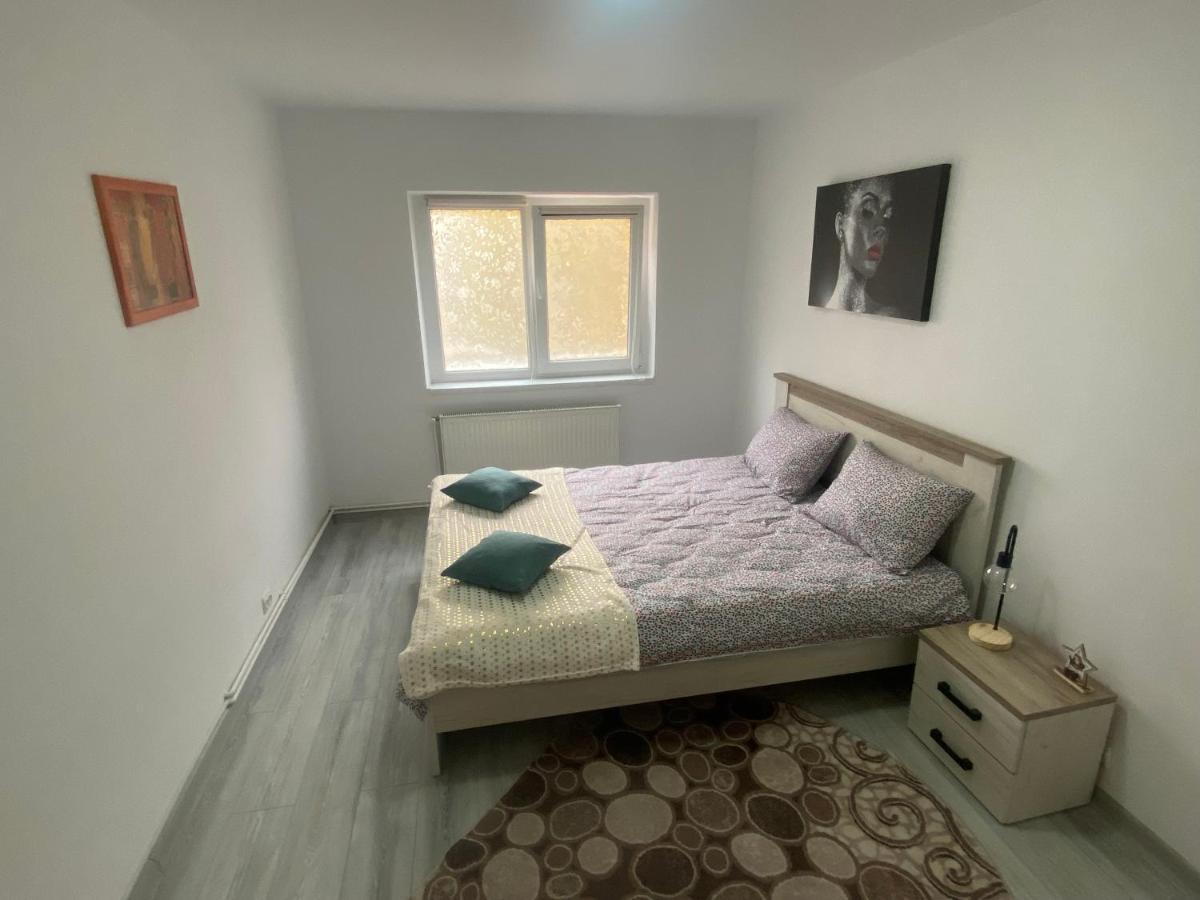 Apartment Dabic Remote And Fun Braşov Esterno foto